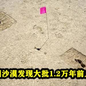 美犹他州沙漠发现大批1.2万年前人类足迹