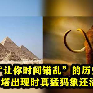 18个“让你时间错乱”的历史事实: 金字塔出现时真猛犸象还活着！