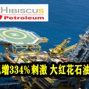 Q4净利飊增334%刺激 大红花石油价量齐升