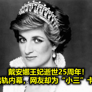 戴安娜王妃逝世25周年！英媒再扒出轨内幕，网友却为“小三”卡米拉说话？