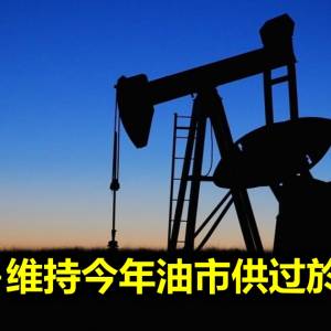 OPEC+维持今年油市供过於求预测