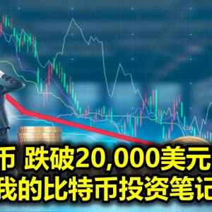 比特币 跌破20,000美元防线！——《我的比特币投资笔记》