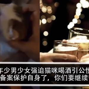 07年少男少女强迫猫咪喝酒引公愤？！哥哥：已备案保护自身了，你们要继续留言吧？！