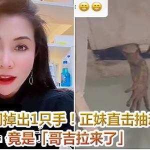 天花板破洞掉出1只手！正妹直击抽动瞬间吓坏　竟是「哥吉拉来了」