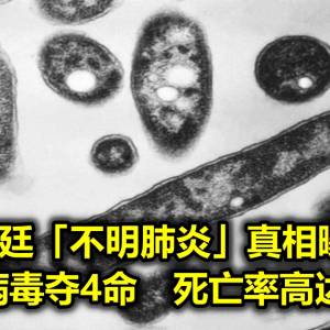 阿根廷「不明肺炎」真相曝光！致命病毒夺4命　死亡率高达10％