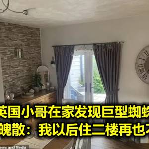 英国小哥在家发现巨型蜘蛛，吓得魂飞魄散：我以后住二楼再也不下来了！