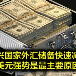 新兴国家外汇储备快速减少 美元强势是最主要原因