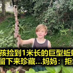 9岁男孩捡到1米长的巨型蚯蚓尸体，还想留下来珍藏…妈妈：拒绝！！