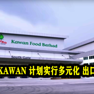 佳源食品KAWAN 计划实行多元化 出口是块大肉