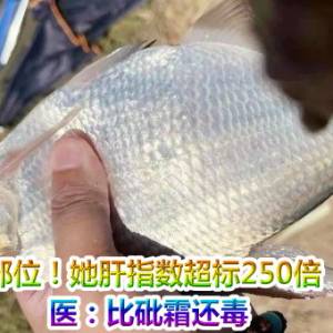 生吞鲜鱼1部位！她肝指数超标250倍「急性衰竭」　医：比砒霜还毒