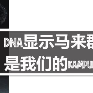 马来DNA研究学者 发现马来西亚就是华人的kampung？