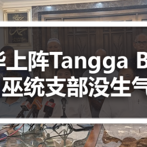 马华上阵Tangga Batu 巫统支部没生气