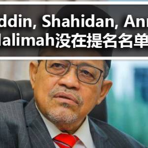 Tajuddin, Shahidan, Annuar, Halimah没在国阵提名名单内