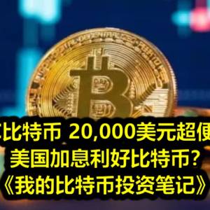 BTC比特币 20,000美元超便宜？美国加息利好比特币？——《我的比特币投资笔记》