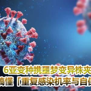 6亚变种携噩梦变异株夹攻！　4QA搞懂「重复感染机率与自保妙招」