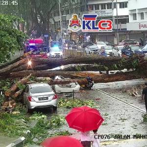 突发性豪雨导致大树倒下！4轿车摩哆被压坏，6人受伤！