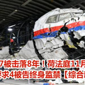 马航MH17被击落8年！荷法庭11月将作裁决　检方要求4被告终身监禁【综合新闻】