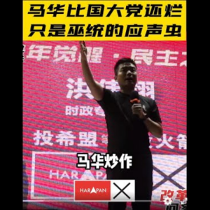 两个都是巫统的应声虫！洪伟翔火爆怒轰马华比国大党还烂！