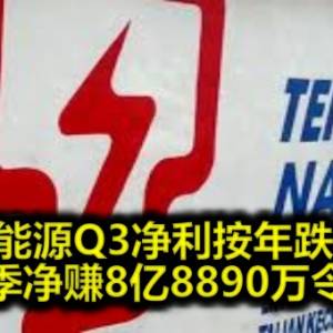 国家能源Q3净利按年跌14% 单季净赚8亿8890万令吉