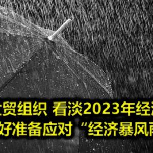 世贸组织 看淡2023年经济 做好准备应对“经济暴风雨”