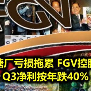 糖厂亏损拖累 FGV控股 Q3净利按年跌40%