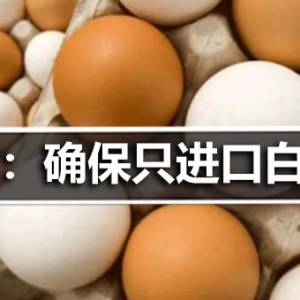 专家：确保只进口白鸡蛋