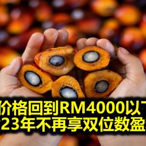 CPO 价格回到RM4000以下水平 种植股23年不再享双位数盈利成长