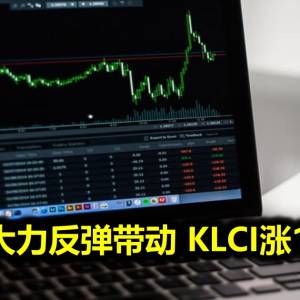 种植股大力反弹带动 KLCI涨11.41点