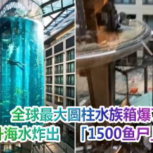 全球最大圆柱水族箱爆了！百万公升海水炸出　「1500鱼尸」躺满街