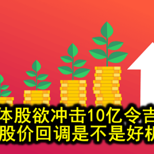 会员特稿─ 半导体股欲冲击10亿令吉盈利目前股价回调是不是好机遇？