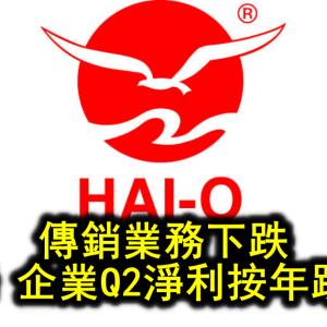 傳銷業務下跌  海鷗 企業Q2淨利按年跌50%