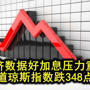 经济数据好加息压力重现 道琼斯指数跌348点