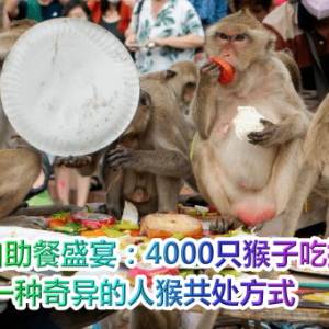 泰国猴子自助餐盛宴：4000只猴子吃掉2吨食物，一种奇异的人猴共处方式