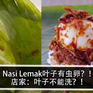 Nasi Lemak叶子有虫卵？！店家：叶子不能洗？！