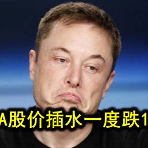 TESLA股价插水一度跌15.1%