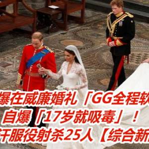 哈利爆在威廉婚礼「GG全程软趴趴」　自爆「17岁就吸毒」！　在阿富汗服役射杀25人【综合新闻】