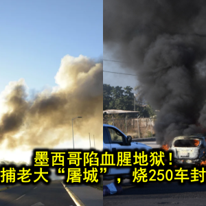 墨西哥陷血腥地狱！黑帮为救被捕老大“屠城”，烧250车封路扫射平民