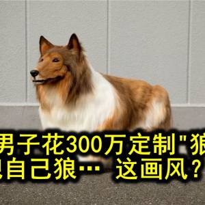 日本男子花300万定制“狼皮”，把自己狼… 这画风？？