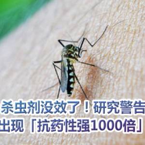 杀虫剂没效了！研究警告：亚洲出现「抗药性强1000倍」蚊子