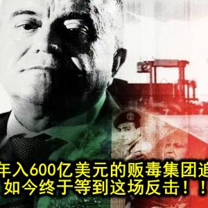 检察官被年入600亿美元的贩毒集团追杀25年…如今终于等到这场反击！！