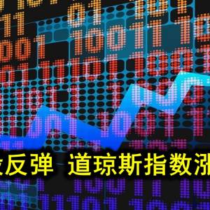 科技股反弹 道琼斯指数涨330点