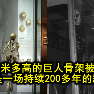 一副2米多高的巨人骨架被撤展，背后是一场持续200多年的悲剧…