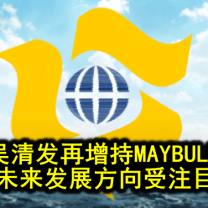 吴清发再增持MAYBULK 未来发展方向受注目