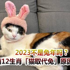 2023不是兔年吗？　越南12生肖「猫取代兔」原因曝光