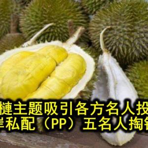 榴槤主题吸引各方名人投资 林蓬岸私配（PP）五名人掏钱认购