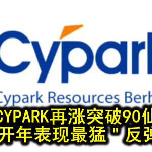 CYPARK再涨突破90仙 兔年开年表现最猛＂反弹股＂