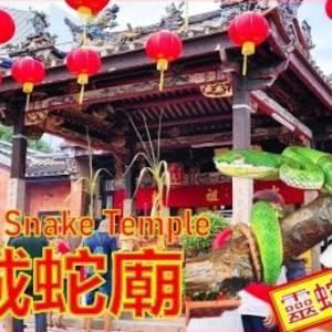 《槟城的新年》蛇庙的新年气氛／灵蛇庆新春／Penang Snake Temple