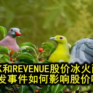 会员开卷─CYPARK和REVENUE股价冰火两重天   突发事件如何影响股价呢？