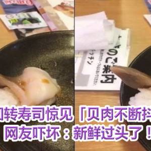 回转寿司惊见「贝肉不断抖动」　网友吓坏：新鲜过头了！