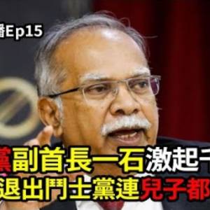 開放玩爆竹煙花怎看｜#20年GDP增長首破8論功勞｜#老馬退黨連兒子都不滿？｜火箭拉瑪公務員論激起千層浪